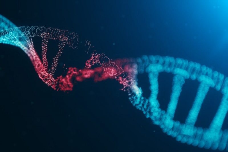 DNA có thể bị tổn thương nếu bạn thường xuyên phải làm đêm
