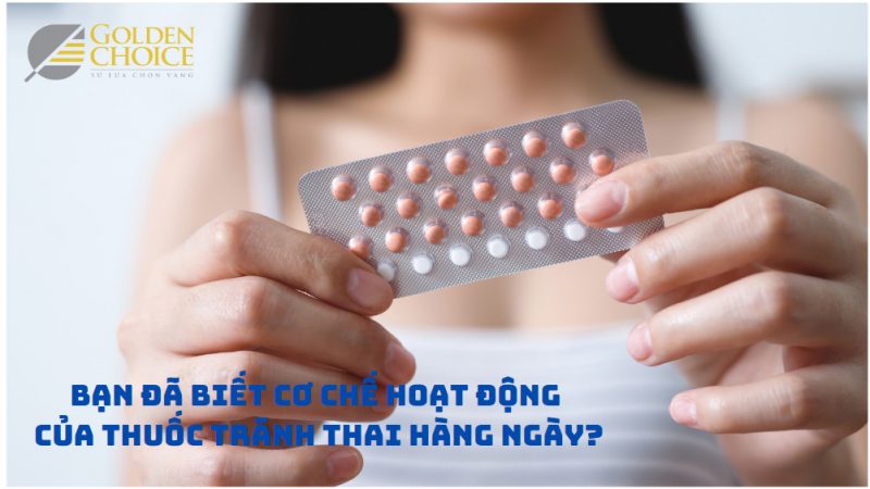 Cơ chế hoạt động của thuốc tránh thai hàng ngày như thế nào?