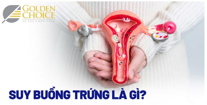 Suy buồng trứng ở nữ là gì?