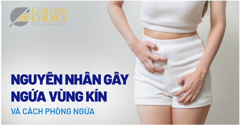 Nguyên nhân gây ngứa vùng kín nữ