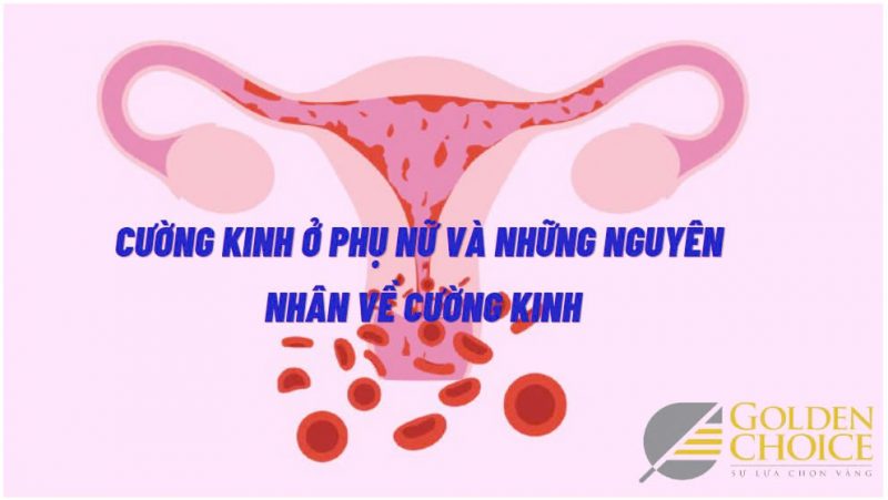 Cường kinh là gì?