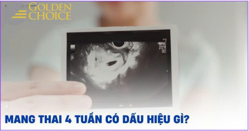 Mang thai tuần có dấu hiệu gì? Những triệu chứng thường gặp